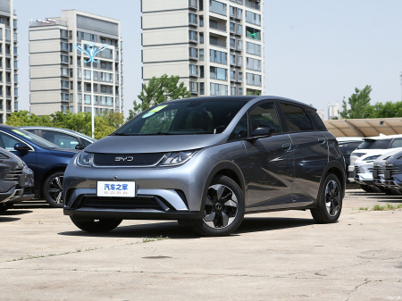 BYD Dolphin Fashion 420КM