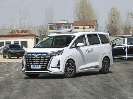 Denza D9 Luxury DM-i 970