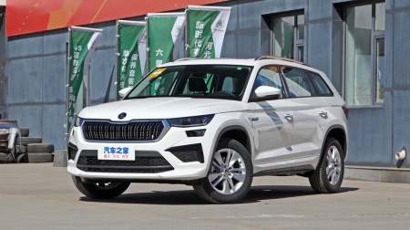 Skoda Kodiaq Premium 5 Seats TS330 2WD