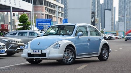 Ora Ballet Cat Sleeping Beauty 500km