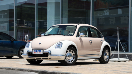 Ora Ballet Cat Swan Lake 500km