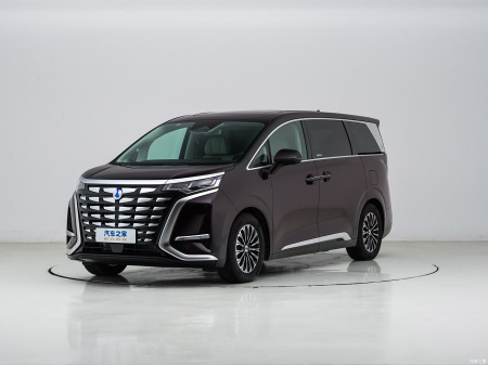 Denza D9 PIONEER Edition