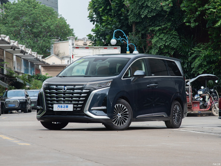 Denza D9 Premium DM-i 980 AWD