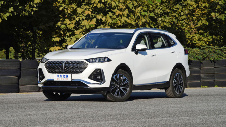 Wey Latte Super Large Cup 1.5T DHT