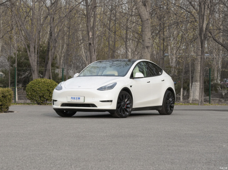 Tesla Model Y Performance