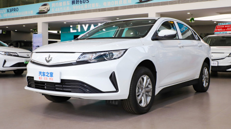 Maple 60s PRO Full Charge LiFePo4