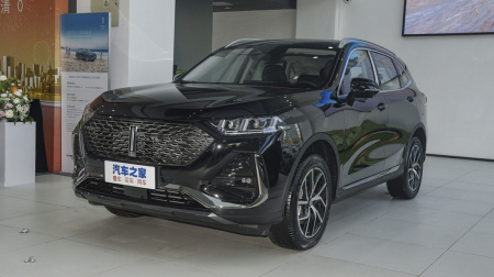 Wey Latte PHEV Large Cup 1.5T