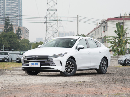 BYD Destroyer 05 Luxury 55КМ