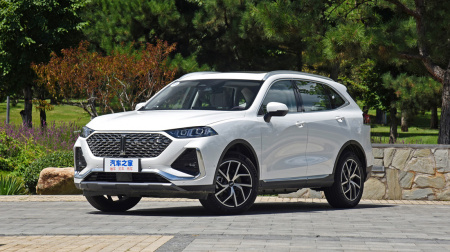 Wey Latte PHEV Super Large Cup 1.5T AWD