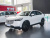 Honda Vezel 2026 1.5L CVT Pioneer Edition