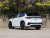 VW Tayron 2026 Tayron L 380TSI 4WD Luxury Easy Package