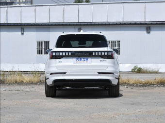 Lynk & Co 09 EM-P 2024 2.0TD EM-P AWD PRO 7-seater
