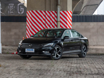 VW Magotan 2025 330TSI DSG Luxury Edition